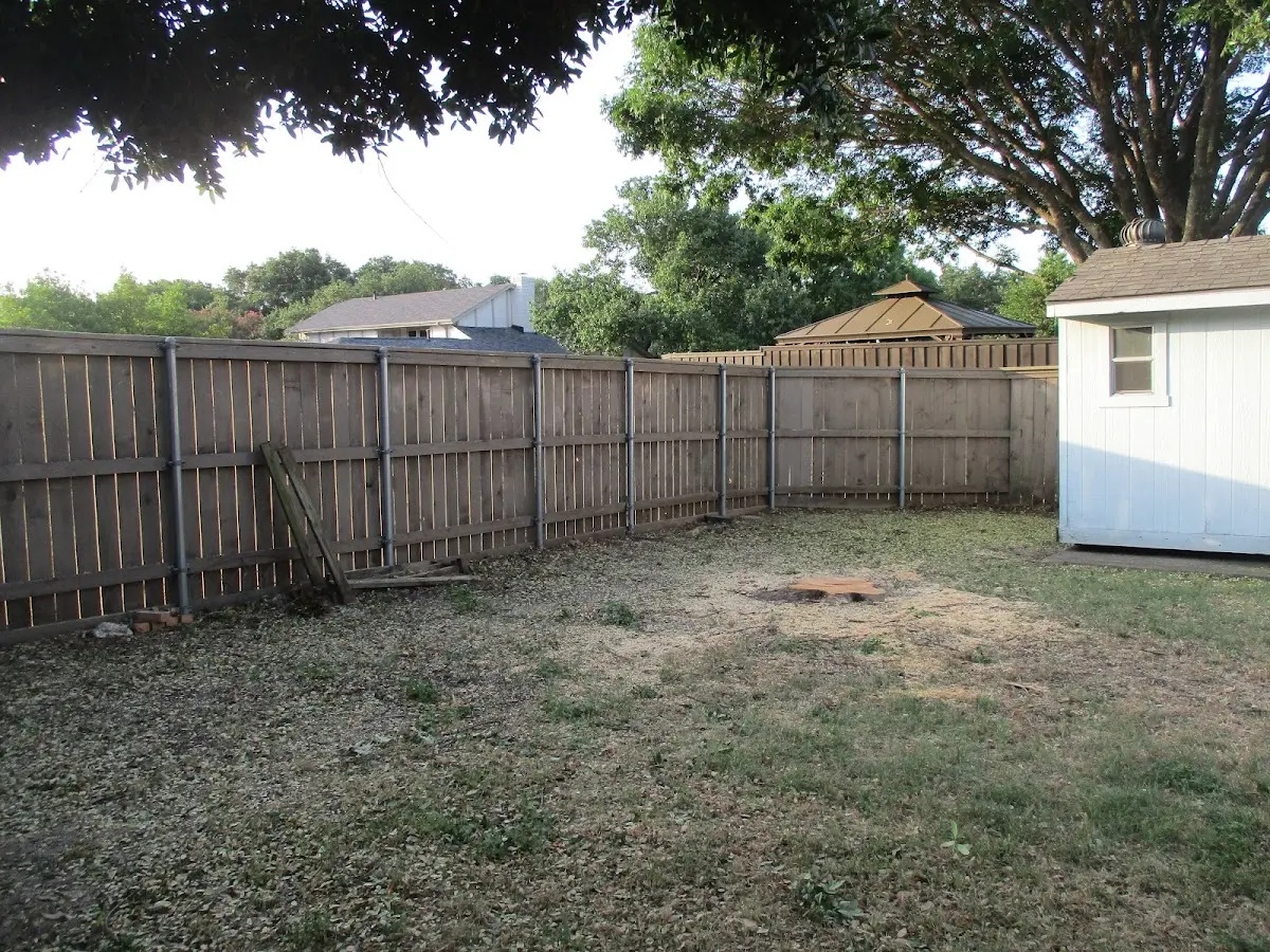 Cleared yard after professional tree removal in Boulder